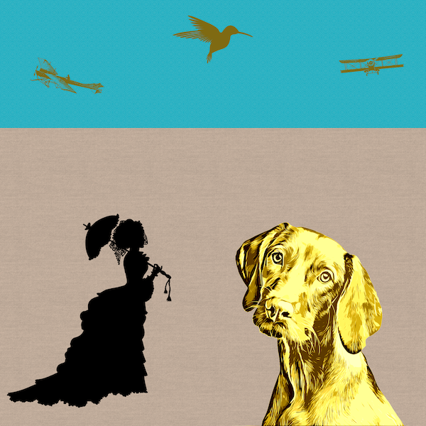 A Pet Pamperer